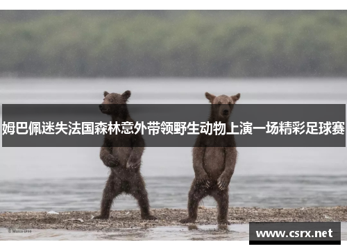 姆巴佩迷失法国森林意外带领野生动物上演一场精彩足球赛