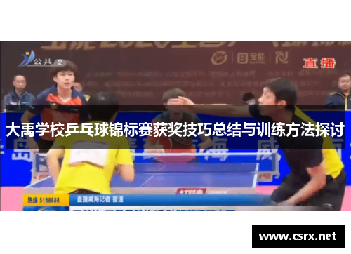 大禹学校乒乓球锦标赛获奖技巧总结与训练方法探讨