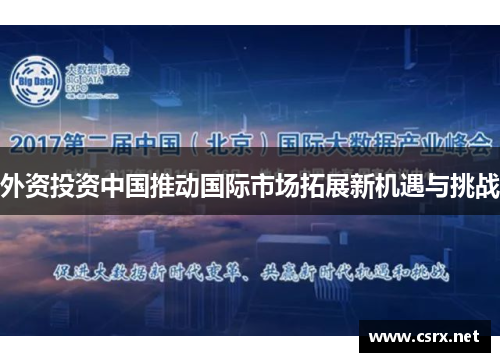外资投资中国推动国际市场拓展新机遇与挑战