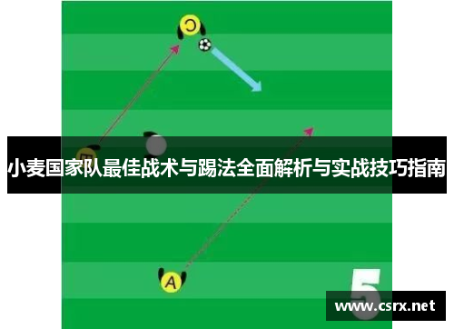 小麦国家队最佳战术与踢法全面解析与实战技巧指南