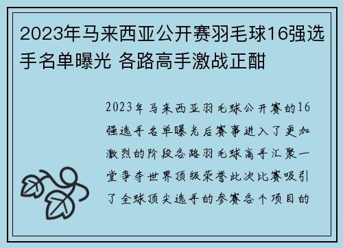 2023年马来西亚公开赛羽毛球16强选手名单曝光 各路高手激战正酣