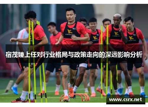 宿茂臻上任对行业格局与政策走向的深远影响分析