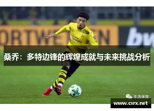 桑乔：多特边锋的辉煌成就与未来挑战分析