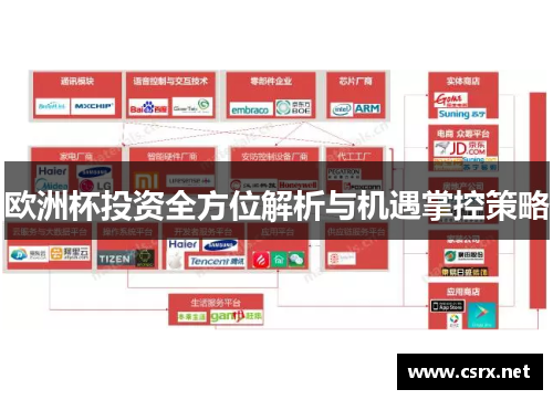 欧洲杯投资全方位解析与机遇掌控策略