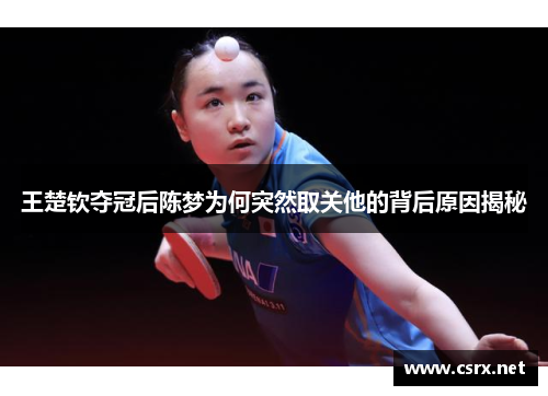 王楚钦夺冠后陈梦为何突然取关他的背后原因揭秘