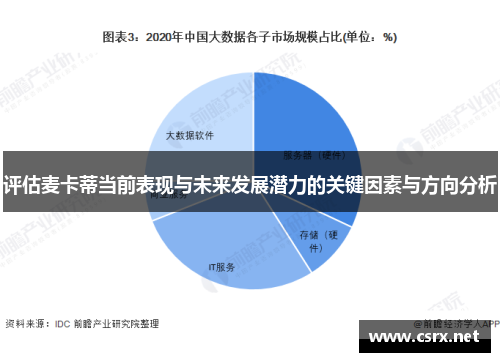 评估麦卡蒂当前表现与未来发展潜力的关键因素与方向分析