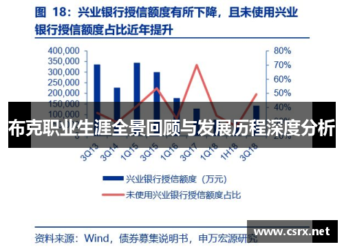 布克职业生涯全景回顾与发展历程深度分析