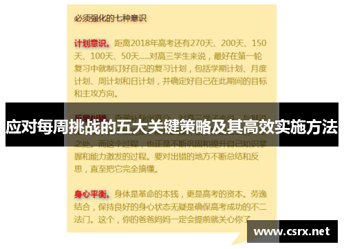 应对每周挑战的五大关键策略及其高效实施方法