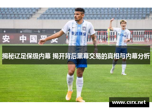 揭秘辽足保级内幕 揭开背后黑幕交易的真相与内幕分析