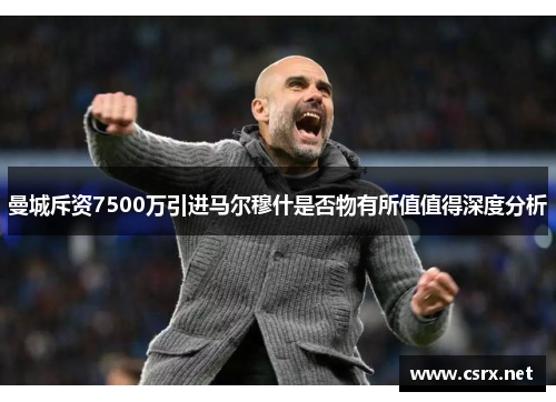 曼城斥资7500万引进马尔穆什是否物有所值值得深度分析